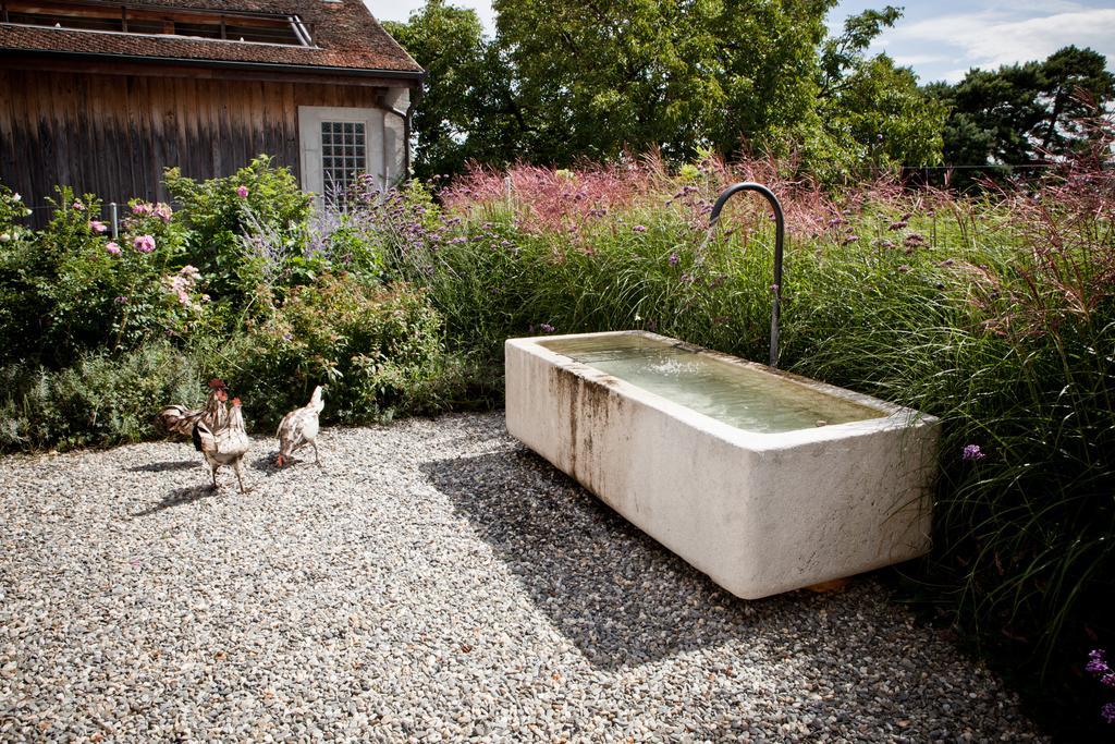 Le Coq Chantant Studios D'Hotes & Boutique Hotel St-Livres Saint-Livres Exterior foto