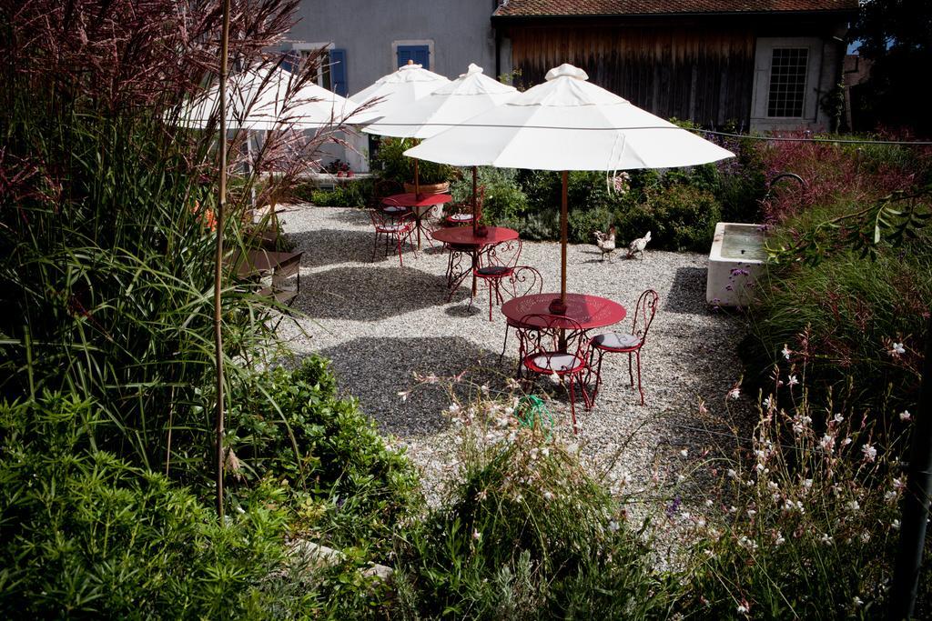 Le Coq Chantant Studios D'Hotes & Boutique Hotel St-Livres Saint-Livres Exterior foto