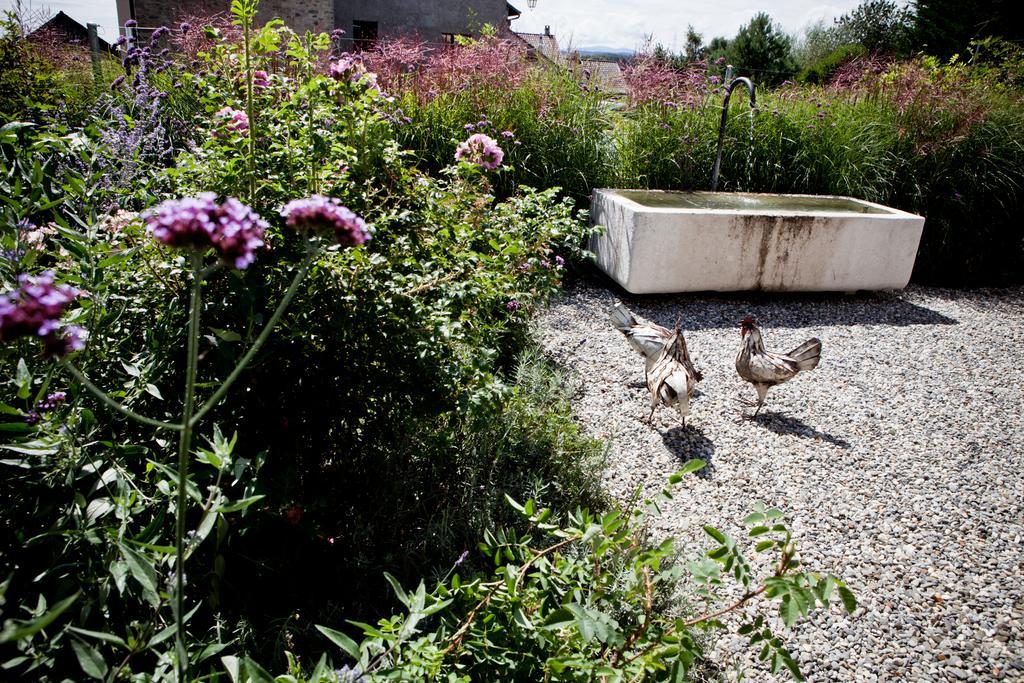 Le Coq Chantant Studios D'Hotes & Boutique Hotel St-Livres Saint-Livres Exterior foto